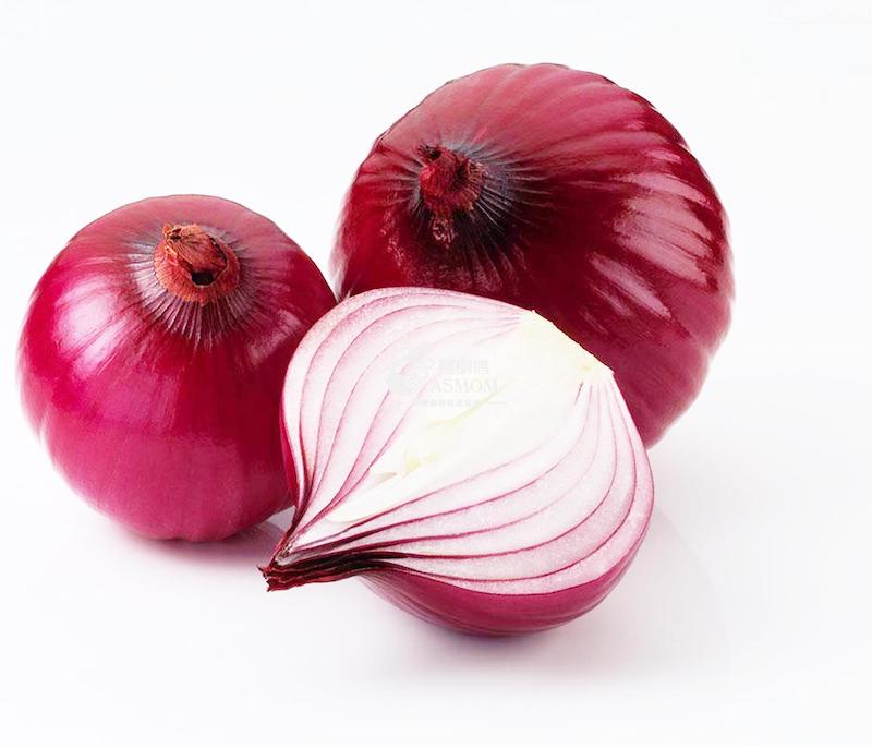 Cibule červená