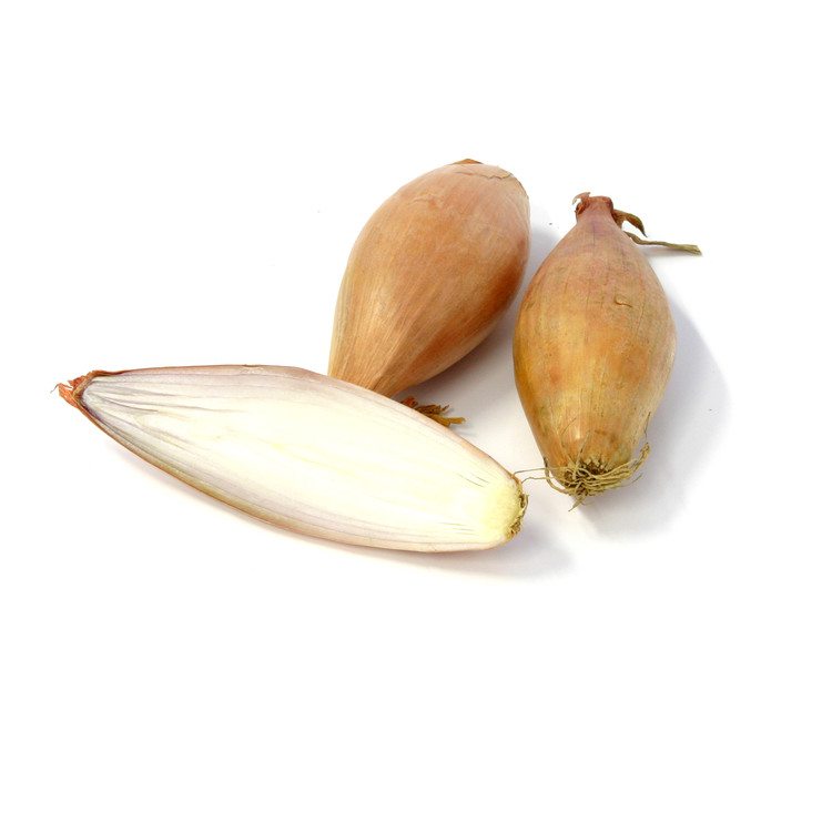 Cibule šalotka