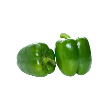 Paprika zelená