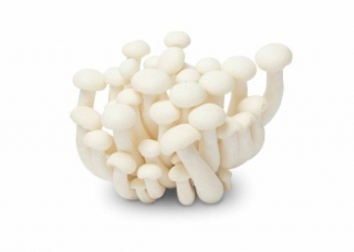 Shimeji bílé 150g