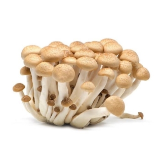 Shimeji hnědé 150g