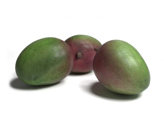Mango k dozrání 