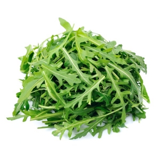 Salát ruccola bal.125g
