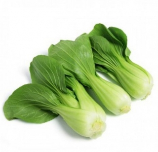 Salát pakchoi 500g