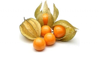Physalis 100g