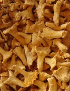 Liška mražená 1000g